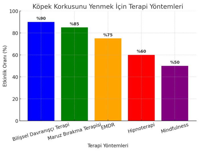 köpek korkusu psikolog yardımıyla hangi terapi yöntemleriyle aşılır konusunu açıklayan bir grafik