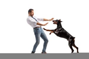köpek korkusu psikolog tarafından tedavi edilir